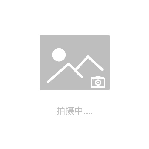 Leica EM RES102   多功能離子減薄儀